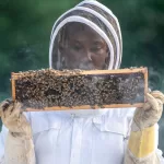best beekeeping suits